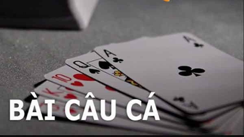 Một số quy tắc chơi bài câu cá đặc biệt mà bet thủ cần biết